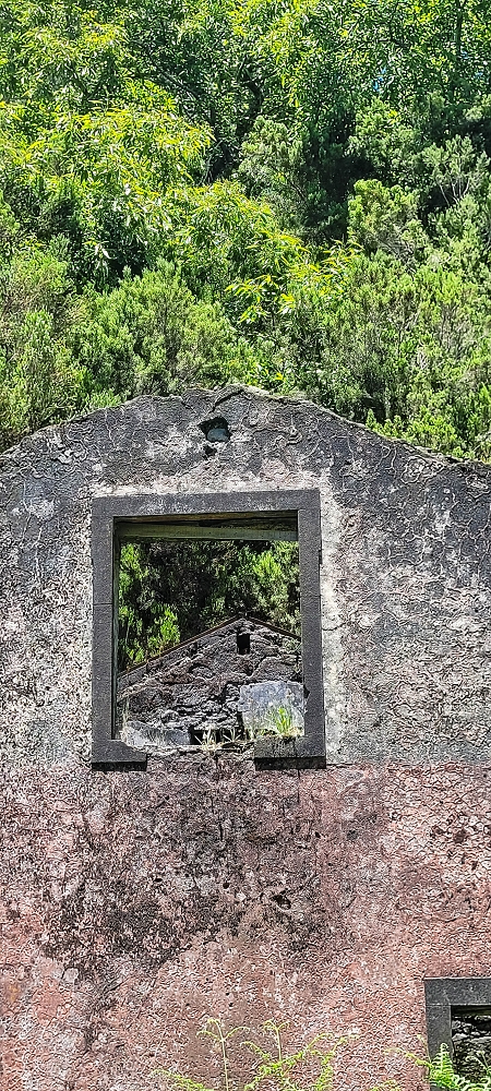 06.07.2022 Wunderschöne Abschlussrunde, möglicherweise meine letzte Madeirawanderung? — Casa do Caramujo — Foto 4