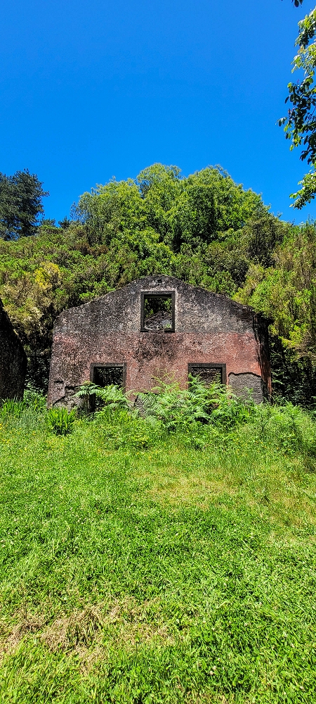 06.07.2022 Wunderschöne Abschlussrunde, möglicherweise meine letzte Madeirawanderung? — Casa do Caramujo — Foto 5