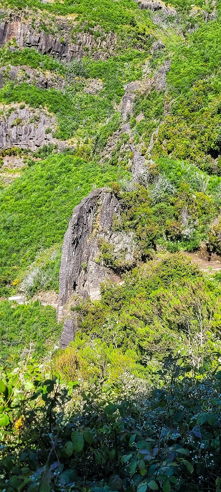 Levada da Serra (da Bica da Cana) — Vom Wasserfall zur ER110 — Foto 7