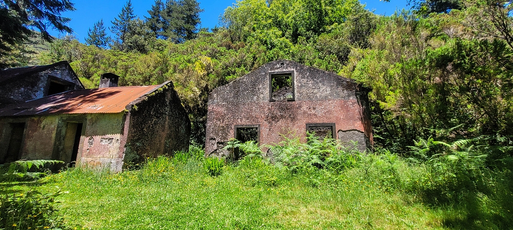 06.07.2022 Wunderschöne Abschlussrunde, möglicherweise meine letzte Madeirawanderung? — Casa do Caramujo — Foto 6