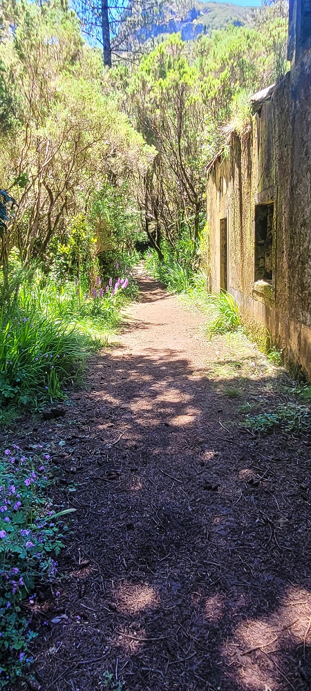 06.07.2022 Wunderschöne Abschlussrunde, möglicherweise meine letzte Madeirawanderung? — Casa do Caramujo — Foto 7