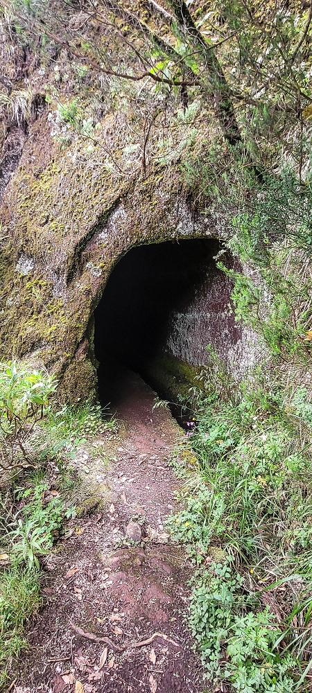 06.07.2022 Wunderschöne Abschlussrunde, möglicherweise meine letzte Madeirawanderung? — Levada do Plaino Velho — Foto 4