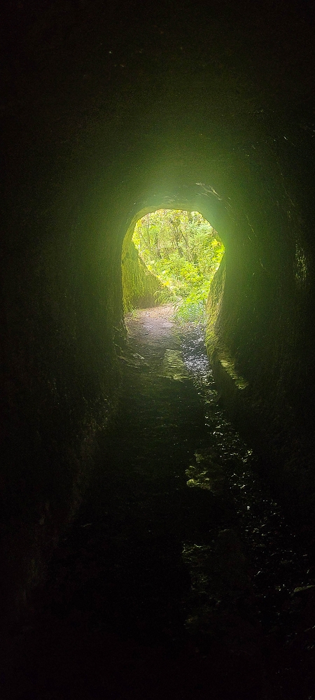 06.07.2022 Wunderschöne Abschlussrunde, möglicherweise meine letzte Madeirawanderung? — Levada do Plaino Velho — Foto 5