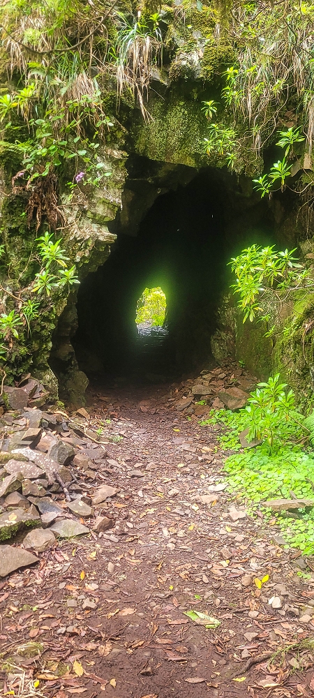 06.07.2022 Wunderschöne Abschlussrunde, möglicherweise meine letzte Madeirawanderung? — Levada do Plaino Velho — Foto 6