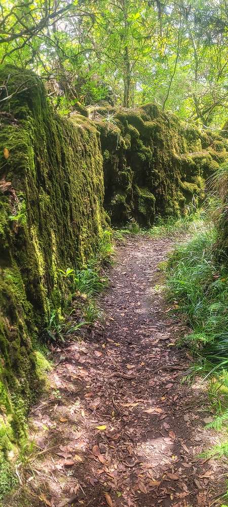 06.07.2022 Wunderschöne Abschlussrunde, möglicherweise meine letzte Madeirawanderung? — Levada do Plaino Velho — Foto 8