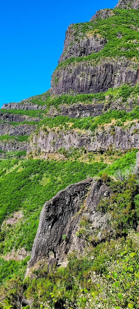 Levada da Serra (da Bica da Cana) — Vom Wasserfall zur ER110 — Foto 6