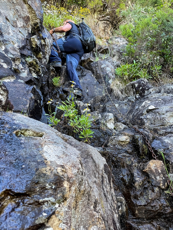 06.07.2022 Wunderschöne Abschlussrunde, möglicherweise meine letzte Madeirawanderung? — Vereda das Paredes — Foto 6