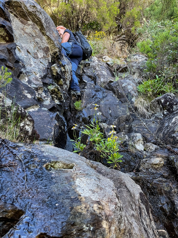 06.07.2022 Wunderschöne Abschlussrunde, möglicherweise meine letzte Madeirawanderung? — Vereda das Paredes — Foto 7