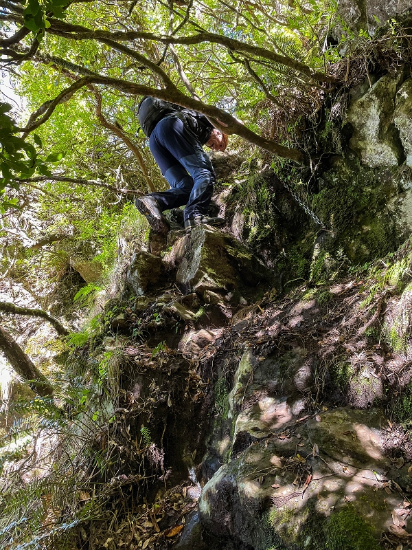 06.07.2022 Wunderschöne Abschlussrunde, möglicherweise meine letzte Madeirawanderung? — Vereda das Paredes — Foto 8