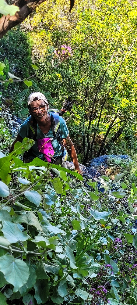 06.07.2022 Wunderschöne Abschlussrunde, möglicherweise meine letzte Madeirawanderung? — Vereda das Paredes — Foto 11