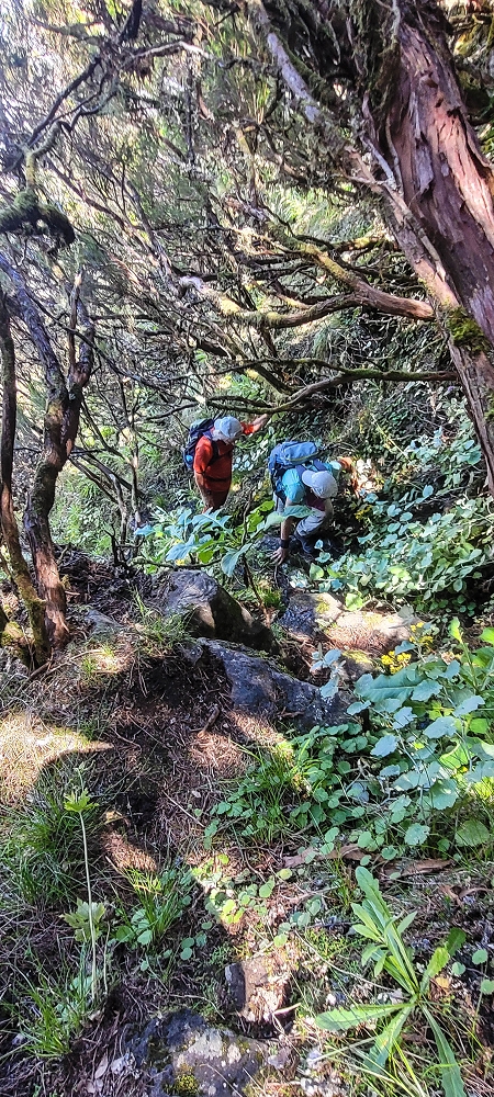 06.07.2022 Wunderschöne Abschlussrunde, möglicherweise meine letzte Madeirawanderung? — Vereda das Paredes — Foto 12