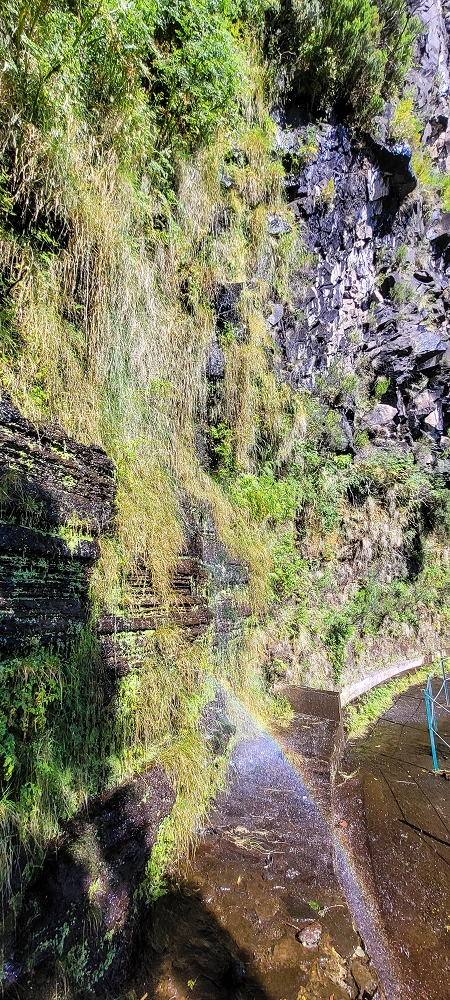Levada da Serra (da Bica da Cana) — Vom Wasserfall zur ER110 — Foto 4