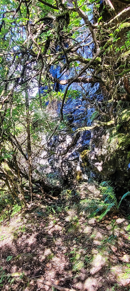 06.07.2022 Wunderschöne Abschlussrunde, möglicherweise meine letzte Madeirawanderung? — Vereda das Paredes — Foto 14