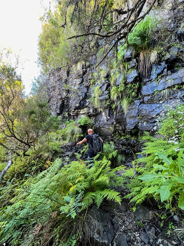 06.07.2022 Wunderschöne Abschlussrunde, möglicherweise meine letzte Madeirawanderung? — Vereda das Paredes — Foto 16