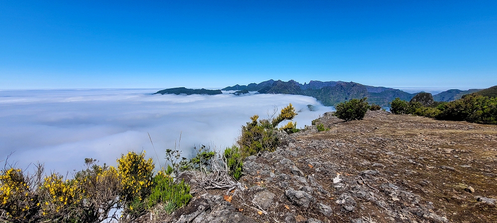 06.07.2022 Wunderschöne Abschlussrunde, möglicherweise meine letzte Madeirawanderung? — Der Perfekte Abschluss auf den Plateaus — Foto 4