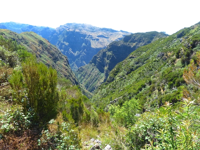 06.08.2014 Furnas, Lombo do Mouro, Faja das Eguas — Entlang der Levada zum Lombo do Mouro-Haus — Foto 47