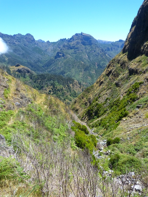 06.08.2014 Furnas, Lombo do Mouro, Faja das Eguas — Weiter nach Faja das Eguas und zur Passstrasse — Foto 5