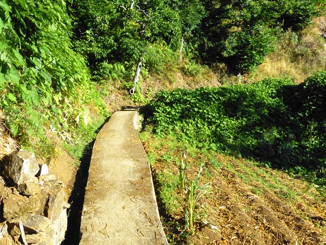 06.08.2014 Furnas, Lombo do Mouro, Faja das Eguas — Aufstieg von Meia Legua nach Furnas — Foto 35