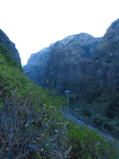 06.08.2014 Furnas, Lombo do Mouro, Faja das Eguas — Aufstieg von Meia Legua nach Furnas — Foto 4