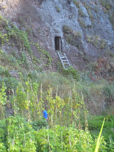 06.08.2014 Furnas, Lombo do Mouro, Faja das Eguas — Weiter über die Felder zum Haus mit dem roten Dach — Foto 8