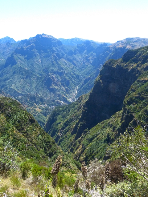 06.08.2014 Furnas, Lombo do Mouro, Faja das Eguas — Entlang der Levada zum Lombo do Mouro-Haus — Foto 30