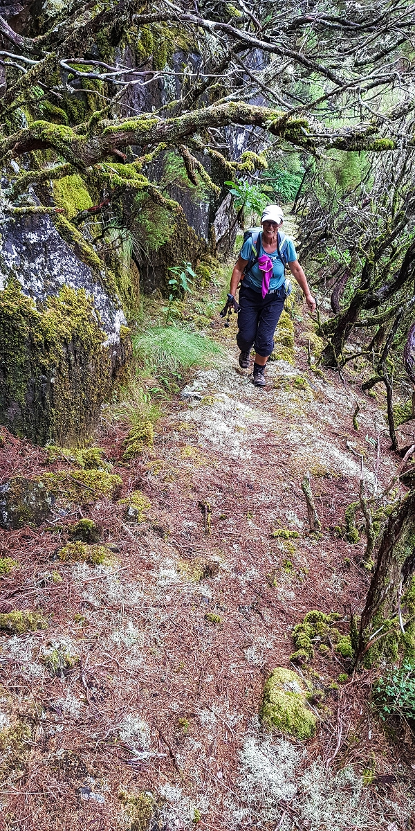 06.08.2021 Auf Entdeckungstour im Rabaçalgebiet: Tunel Vieira de Castro und Levada da Senhora — Weiter auf der Levada da Senhora — Foto 12