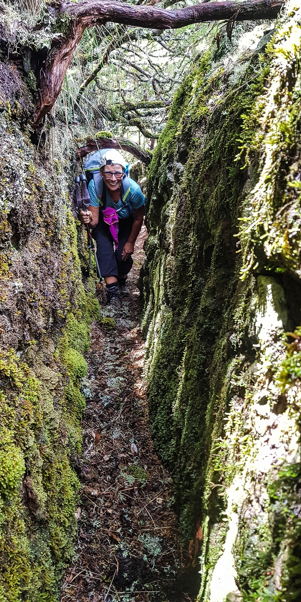Levada da Senhora (Estreito da Calheta) — Abschnitt 6 — Foto 13