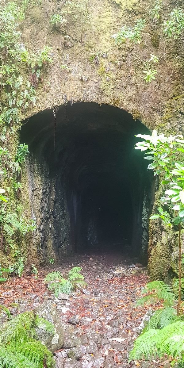 06.08.2021 Auf Entdeckungstour im Rabaçalgebiet: Tunel Vieira de Castro und Levada da Senhora — Abstieg zum Furado Velho und weiter auf der Levada do Furado Velho — Foto 5