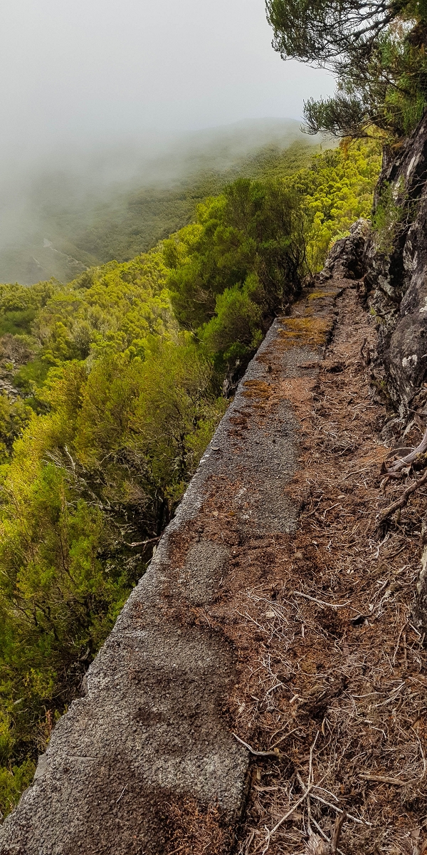 06.08.2021 Auf Entdeckungstour im Rabaçalgebiet: Tunel Vieira de Castro und Levada da Senhora — Auf dem aussichtsreichen Balkon — Foto 1