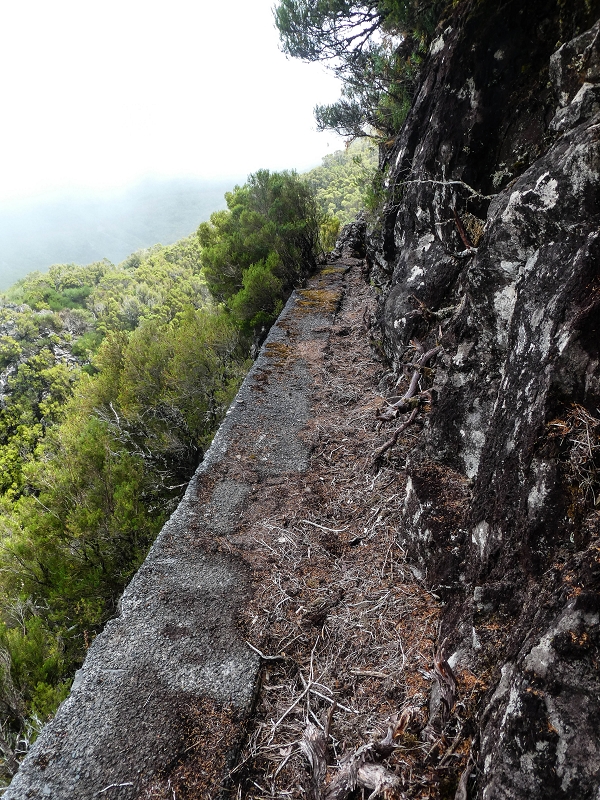 Levada da Senhora (Estreito da Calheta) — Abschnitt 6 — Foto 9