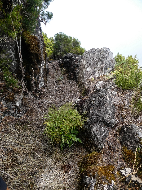 Levada da Senhora (Estreito da Calheta) — Abschnitt 6 — Foto 10