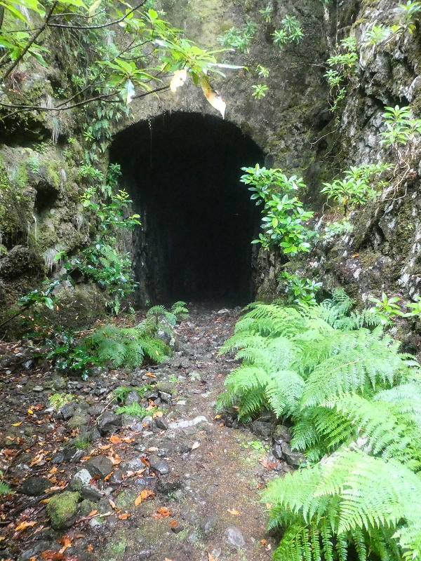06.08.2021 Auf Entdeckungstour im Rabaçalgebiet: Tunel Vieira de Castro und Levada da Senhora — Abstieg zum Furado Velho und weiter auf der Levada do Furado Velho — Foto 6