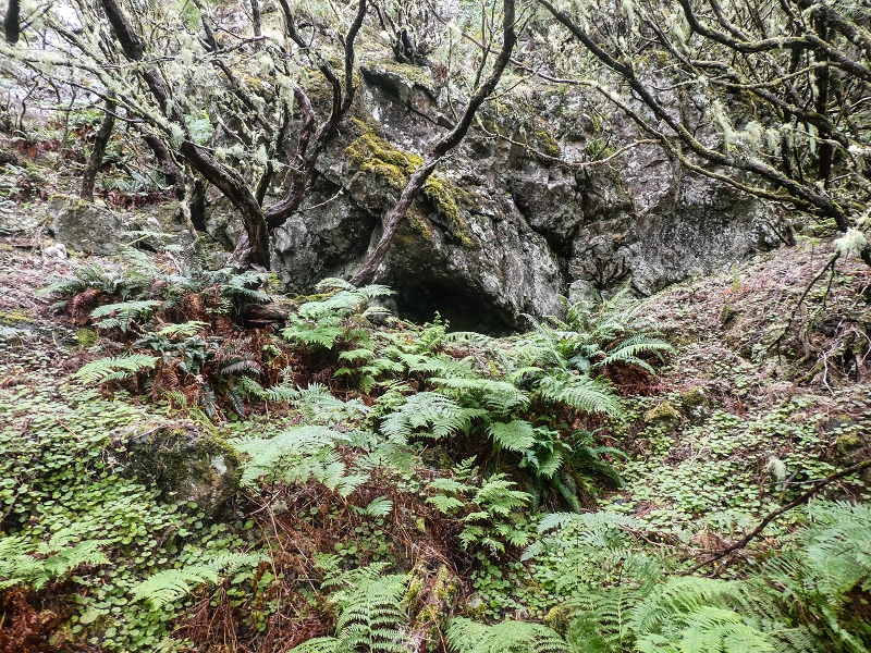 06.08.2021 Auf Entdeckungstour im Rabaçalgebiet: Tunel Vieira de Castro und Levada da Senhora — Auf dem aussichtsreichen Balkon — Foto 12