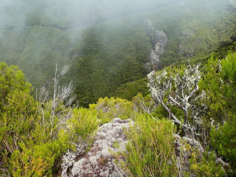 Levada da Senhora (Estreito da Calheta) — Abschnitt 6 — Foto 5