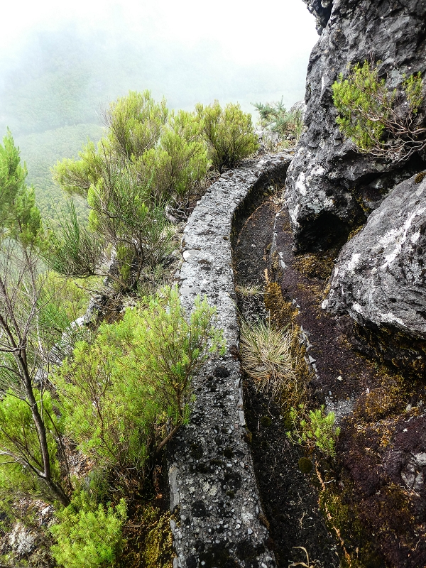 Levada da Senhora (Estreito da Calheta) — Abschnitt 6 — Foto 7
