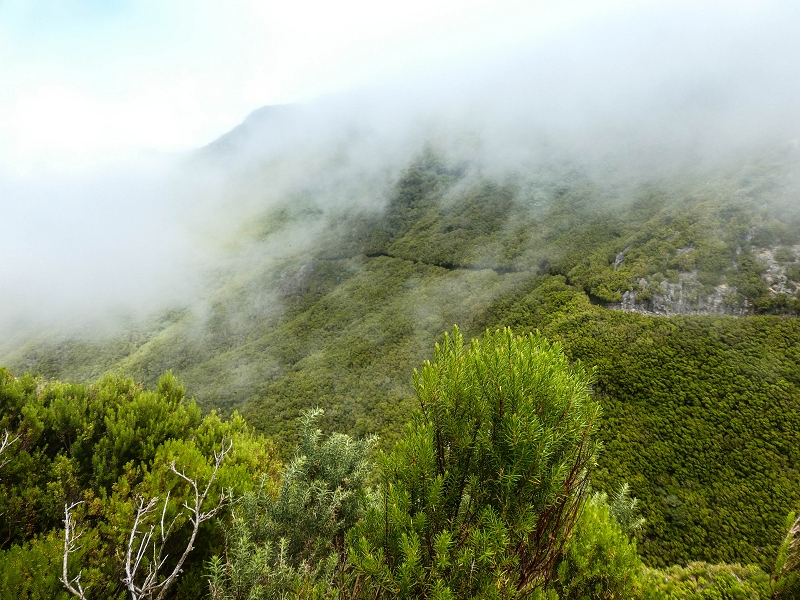 06.08.2021 Auf Entdeckungstour im Rabaçalgebiet: Tunel Vieira de Castro und Levada da Senhora — Auf dem aussichtsreichen Balkon — Foto 17