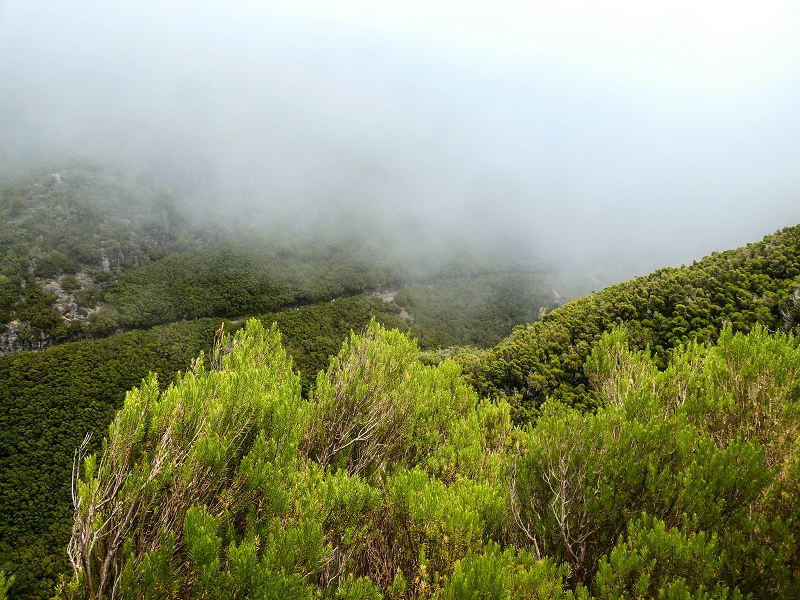 06.08.2021 Auf Entdeckungstour im Rabaçalgebiet: Tunel Vieira de Castro und Levada da Senhora — Auf dem aussichtsreichen Balkon — Foto 18