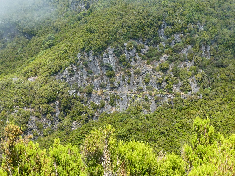 06.08.2021 Auf Entdeckungstour im Rabaçalgebiet: Tunel Vieira de Castro und Levada da Senhora — Zurück zum Rabacalparkplatz — Foto 1