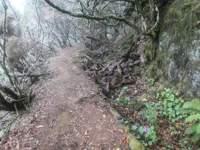 06.08.2021 Auf Entdeckungstour im Rabaçalgebiet: Tunel Vieira de Castro und Levada da Senhora — Abstieg zum Furado Velho und weiter auf der Levada do Furado Velho — Foto 11