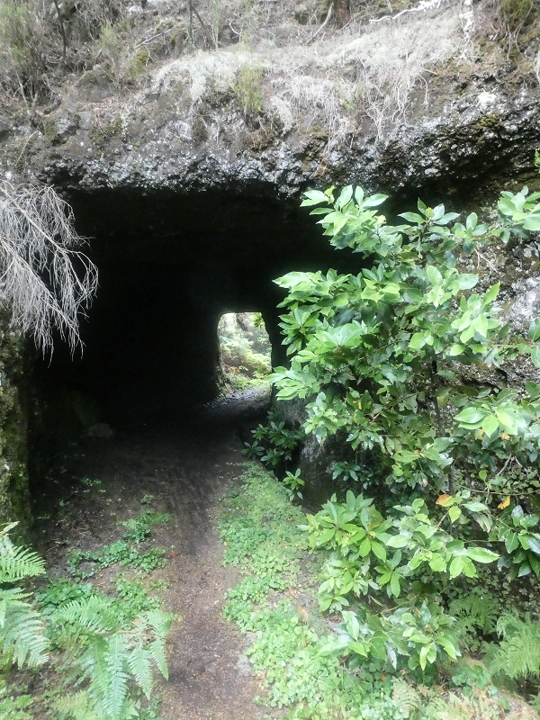 06.08.2021 Auf Entdeckungstour im Rabaçalgebiet: Tunel Vieira de Castro und Levada da Senhora — Abstieg zum Furado Velho und weiter auf der Levada do Furado Velho — Foto 12