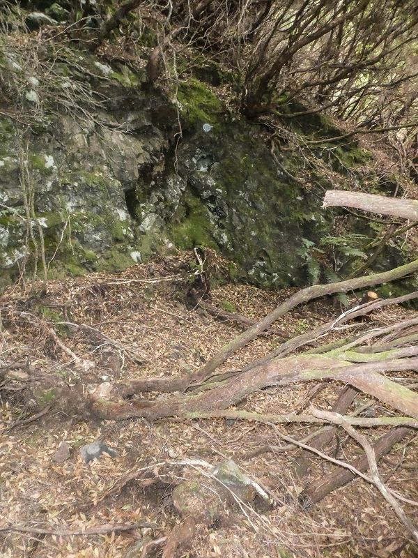 06.08.2021 Auf Entdeckungstour im Rabaçalgebiet: Tunel Vieira de Castro und Levada da Senhora — Abstieg Richtung Tunel Vieira de Castro — Foto 9