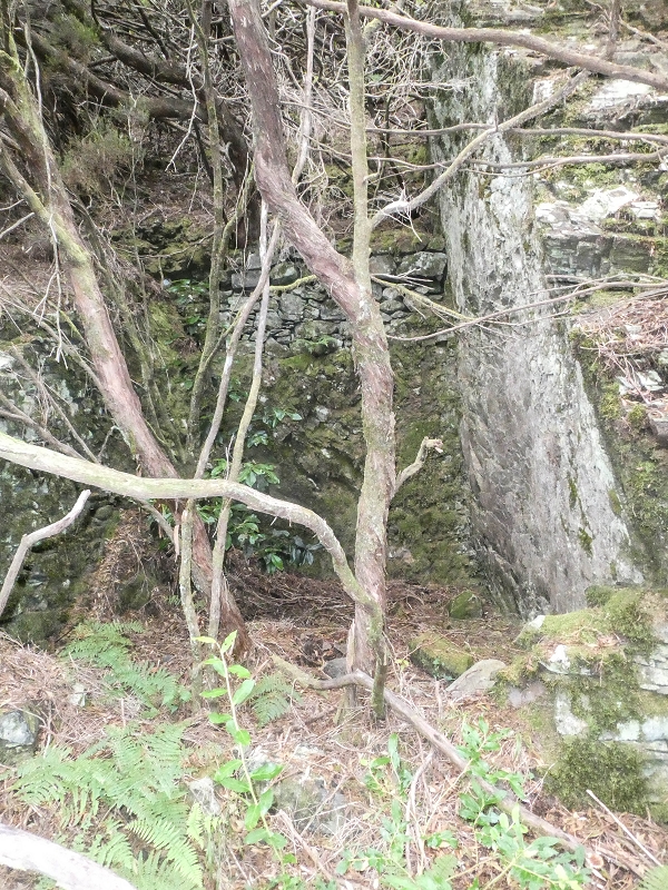 06.08.2021 Auf Entdeckungstour im Rabaçalgebiet: Tunel Vieira de Castro und Levada da Senhora — Ruinen der Arbeiterunterkünfte — Foto 1