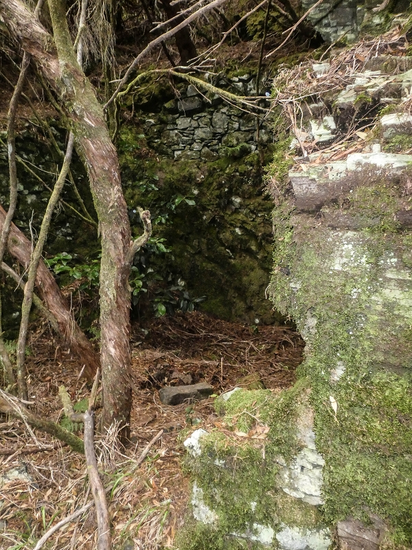 06.08.2021 Auf Entdeckungstour im Rabaçalgebiet: Tunel Vieira de Castro und Levada da Senhora — Ruinen der Arbeiterunterkünfte — Foto 2