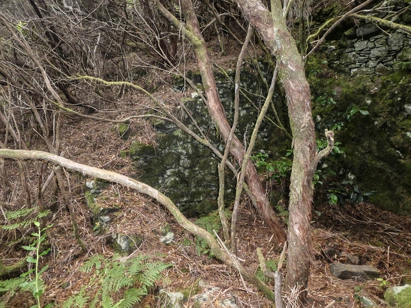 06.08.2021 Auf Entdeckungstour im Rabaçalgebiet: Tunel Vieira de Castro und Levada da Senhora — Ruinen der Arbeiterunterkünfte — Foto 3