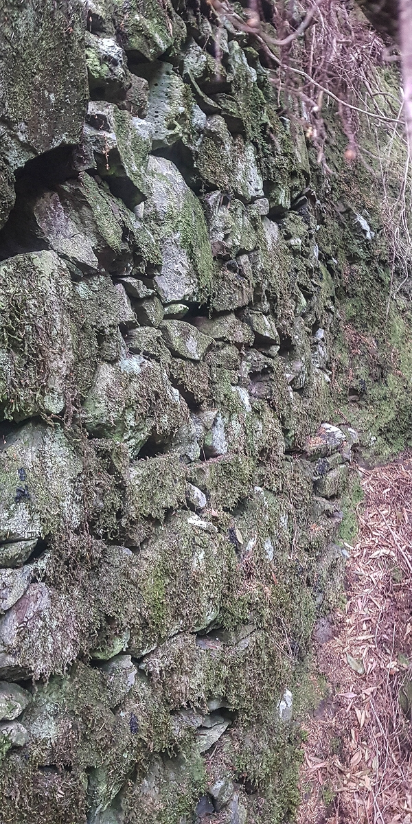 06.08.2021 Auf Entdeckungstour im Rabaçalgebiet: Tunel Vieira de Castro und Levada da Senhora — Ruinen der Arbeiterunterkünfte — Foto 5