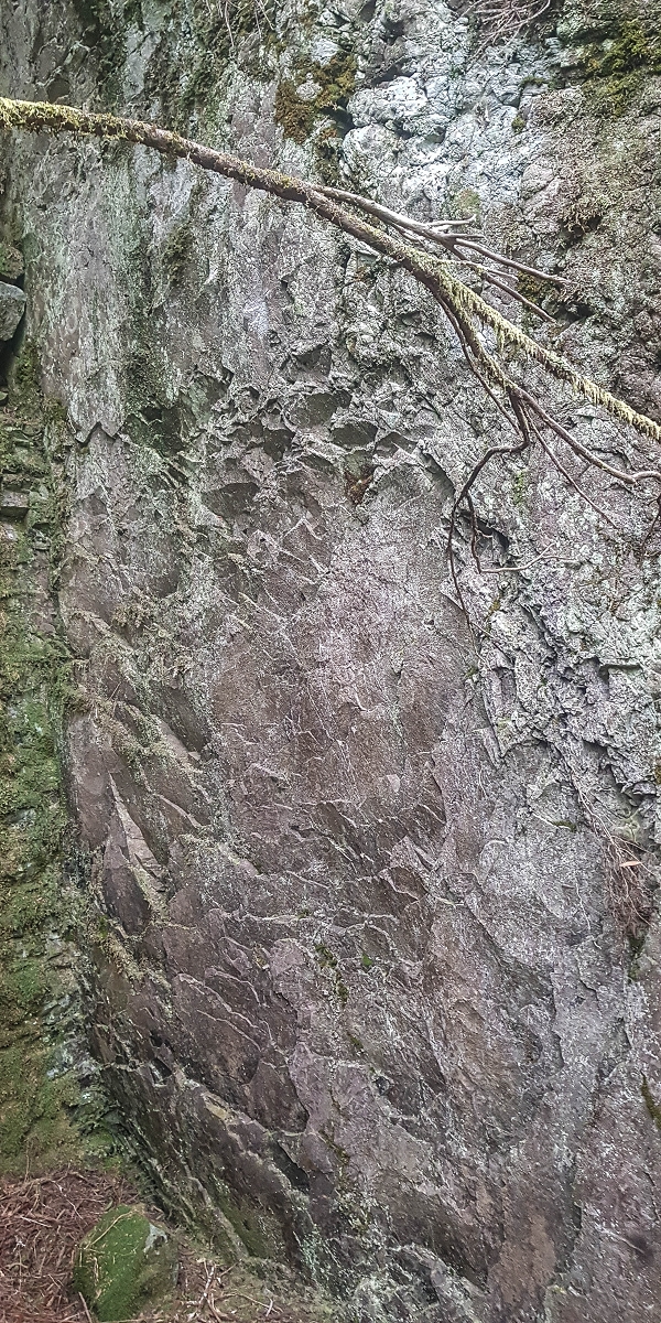 06.08.2021 Auf Entdeckungstour im Rabaçalgebiet: Tunel Vieira de Castro und Levada da Senhora — Ruinen der Arbeiterunterkünfte — Foto 6