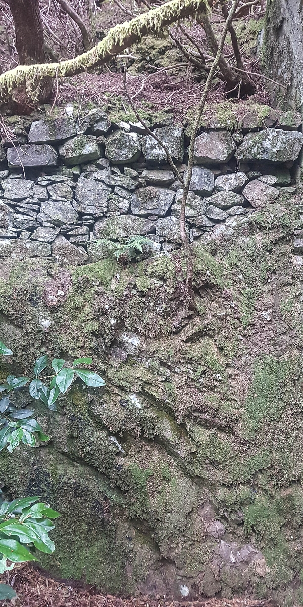 06.08.2021 Auf Entdeckungstour im Rabaçalgebiet: Tunel Vieira de Castro und Levada da Senhora — Ruinen der Arbeiterunterkünfte — Foto 7