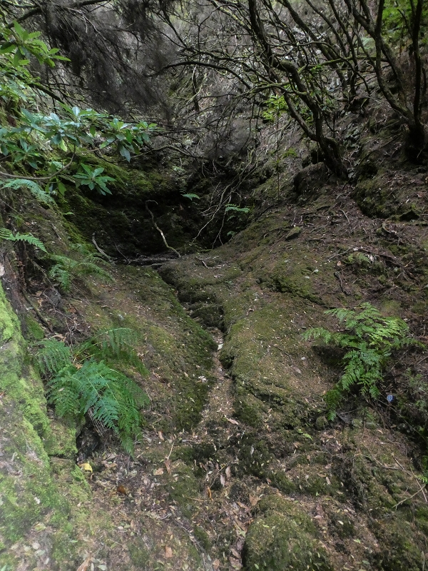 06.08.2021 Auf Entdeckungstour im Rabaçalgebiet: Tunel Vieira de Castro und Levada da Senhora — Weiterabstieg über Bachbett — Foto 2