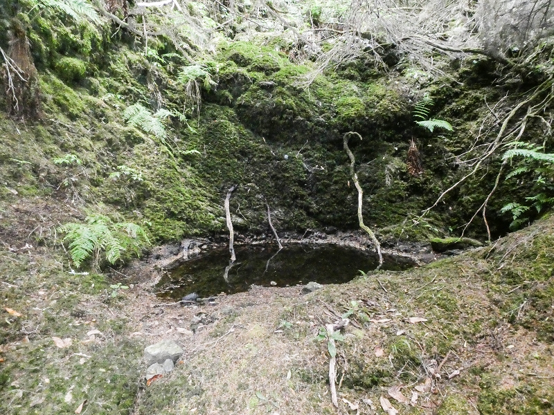 06.08.2021 Auf Entdeckungstour im Rabaçalgebiet: Tunel Vieira de Castro und Levada da Senhora — Weiterabstieg über Bachbett — Foto 3