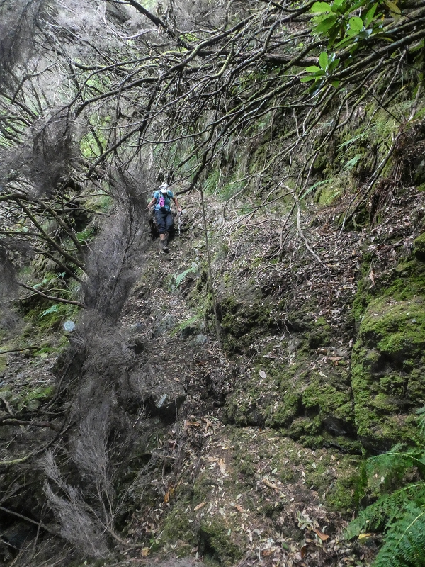 06.08.2021 Auf Entdeckungstour im Rabaçalgebiet: Tunel Vieira de Castro und Levada da Senhora — Weiterabstieg über Bachbett — Foto 4